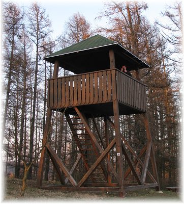Křivoš