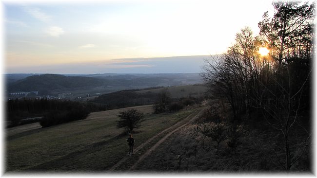 Křivoš