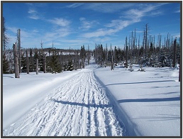 Šumava