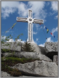 Plechý