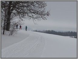 Lyžařské Novoměstsko