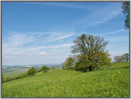 Bílé Karpaty