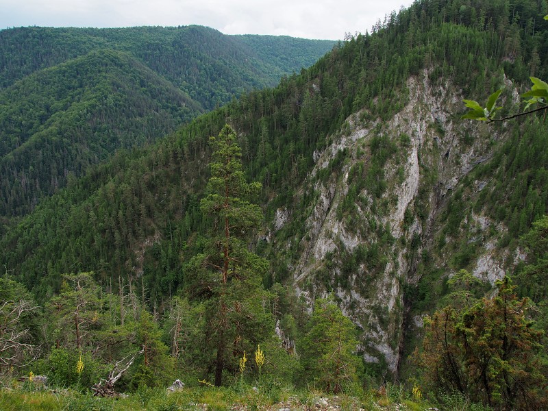 Kláštorisko, výhled nad dolinou Kyseľ