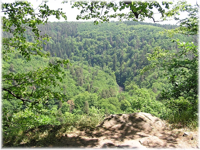 Sedlecký hrad