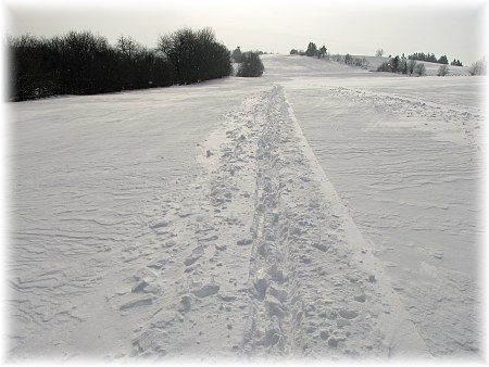Novoměstsko