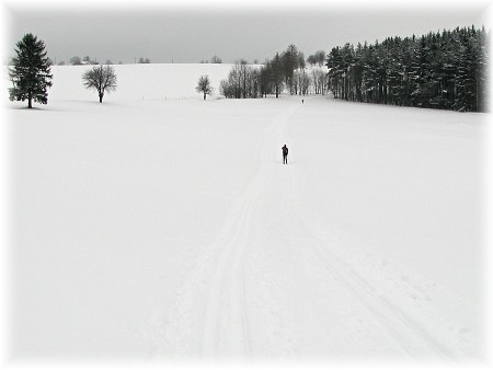 Novoměstsko