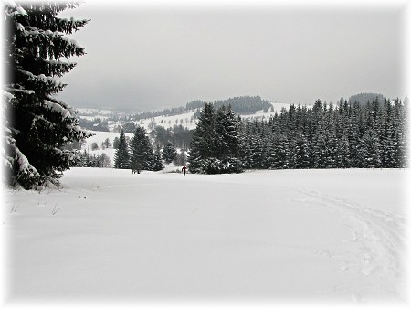 Novoměstsko