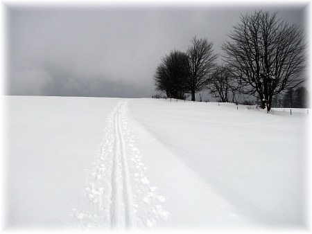 Novoměstsko