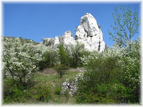 Kočičí kámen