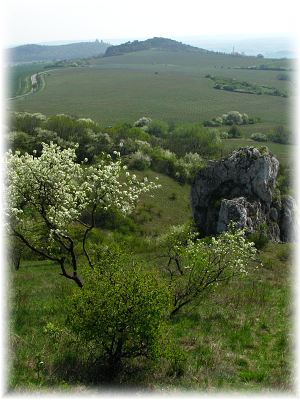 Kočičí kámen