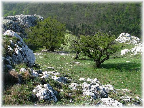Soutěska