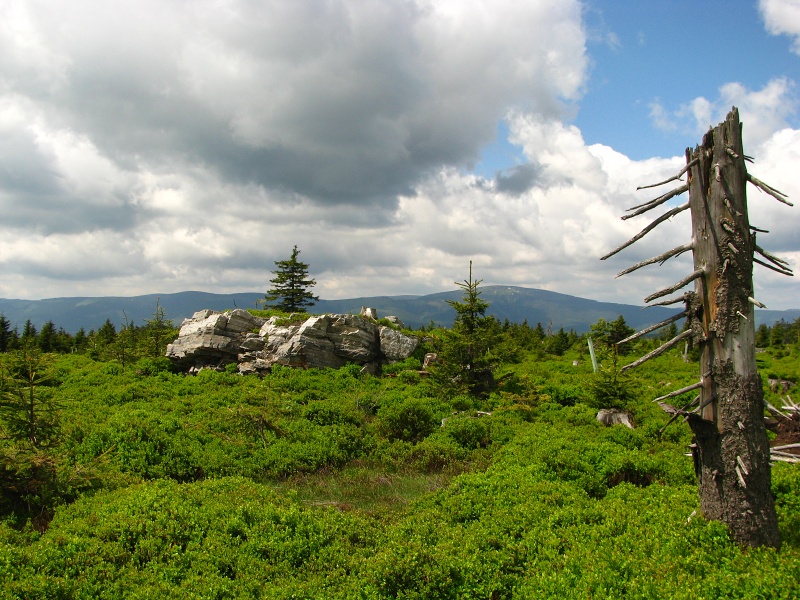 Travná hora 1120 m