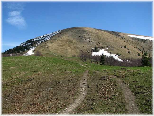 Ploská