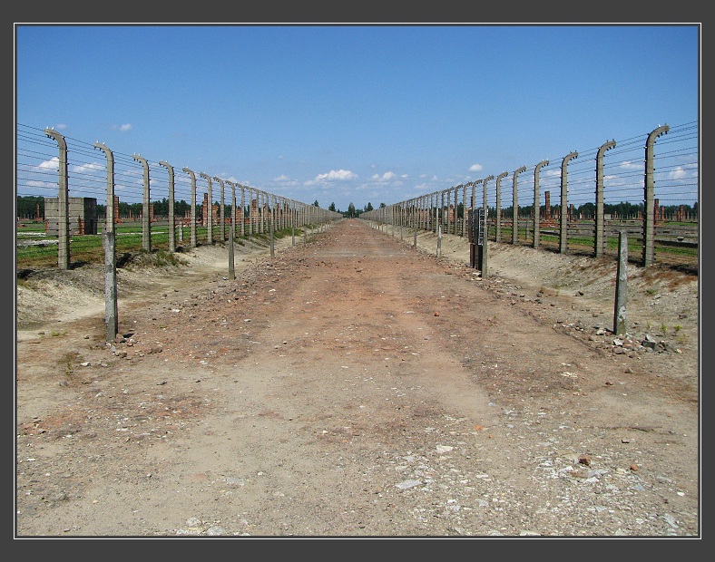 Auschwitz/Birkenau
