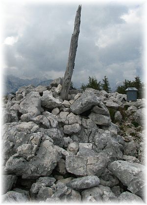 Pršivec