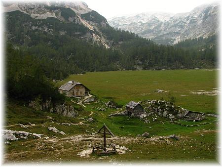 Velo polje