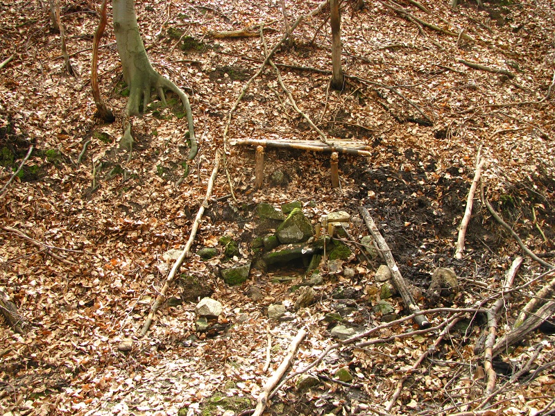 lesní studánka nad Halenkovicemi