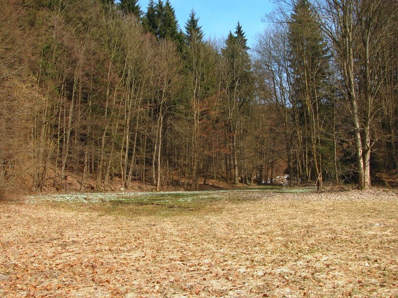 Údolí Chlébského potoka