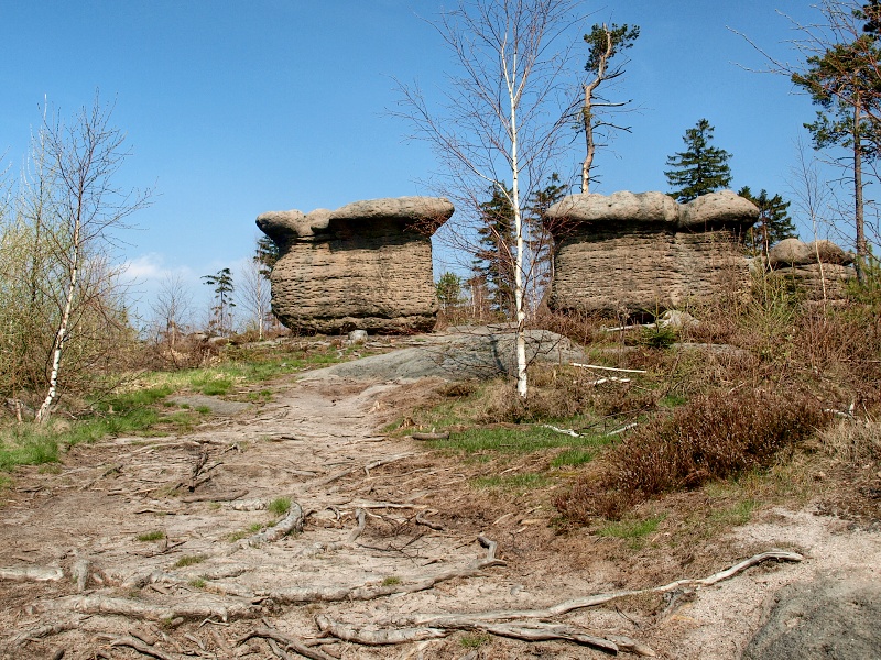 skalní hřiby