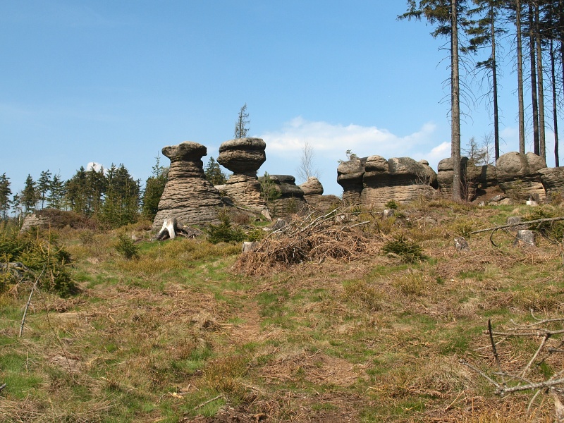 skalní hřiby
