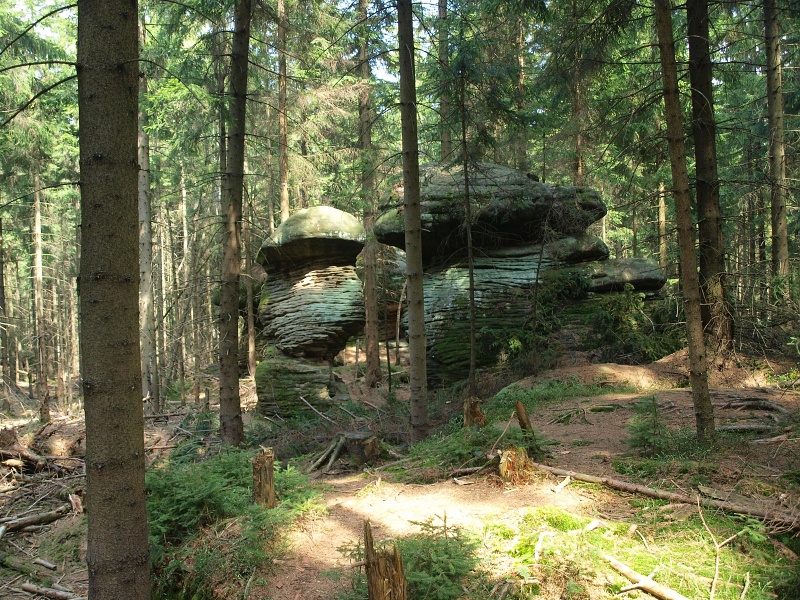 Skalne Grzyby