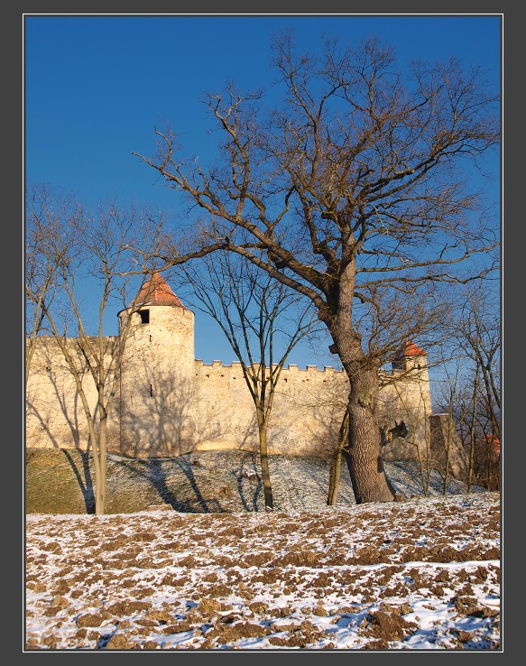 Hrad Veveří od západu