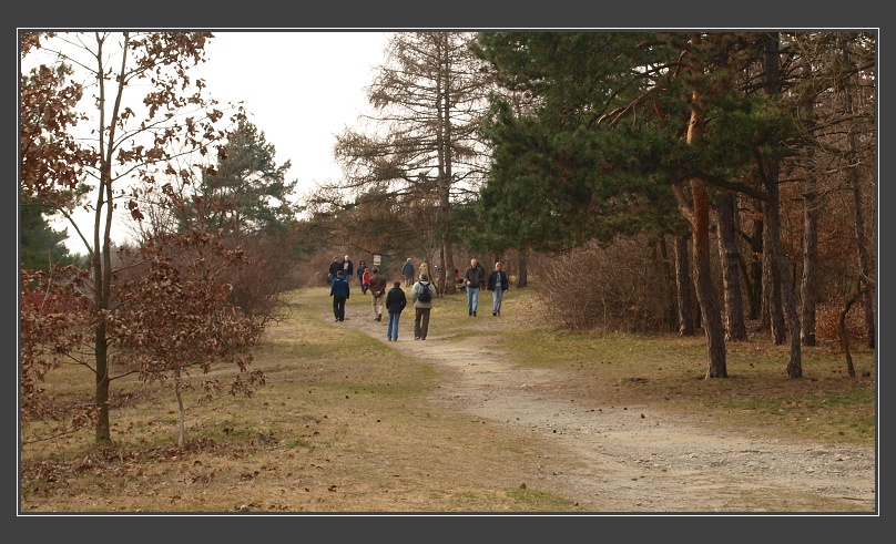 Kamenný vrch