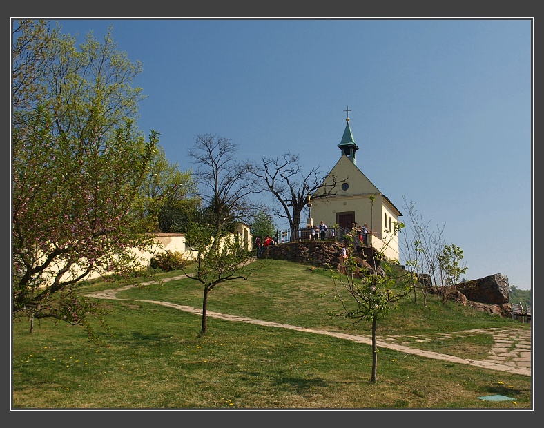 Botanická zahrada - vinice sv. Kláry