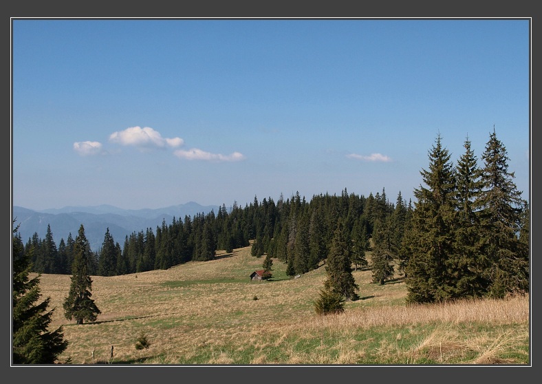 Velký Choč, Stredná poľana