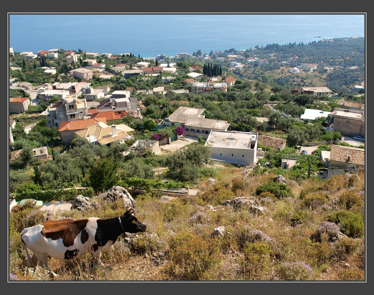 Albánie, Dhermi
