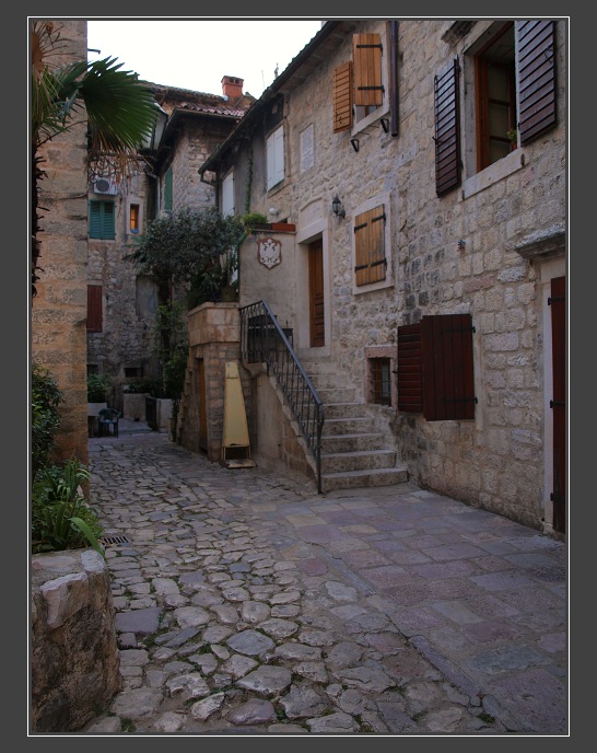 Kotor