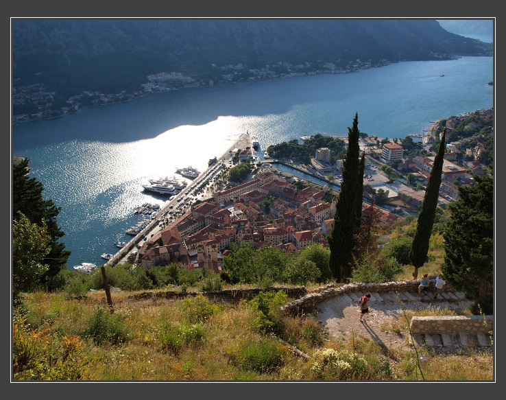 Kotor