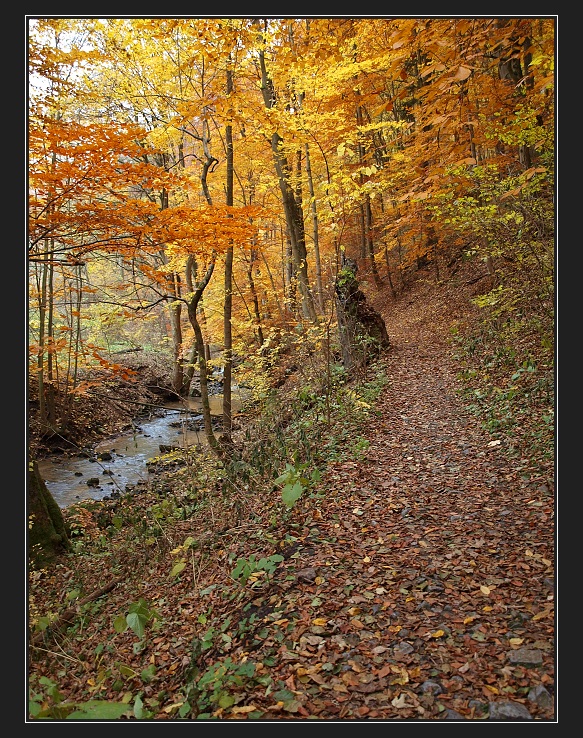 Moravský kras, podzim v Křtinském údolí