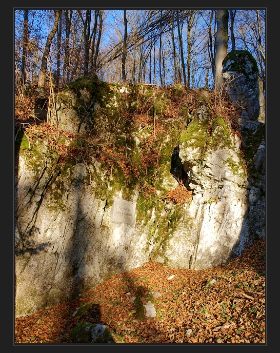 Holštejnské údolí, u jeskyně C 13