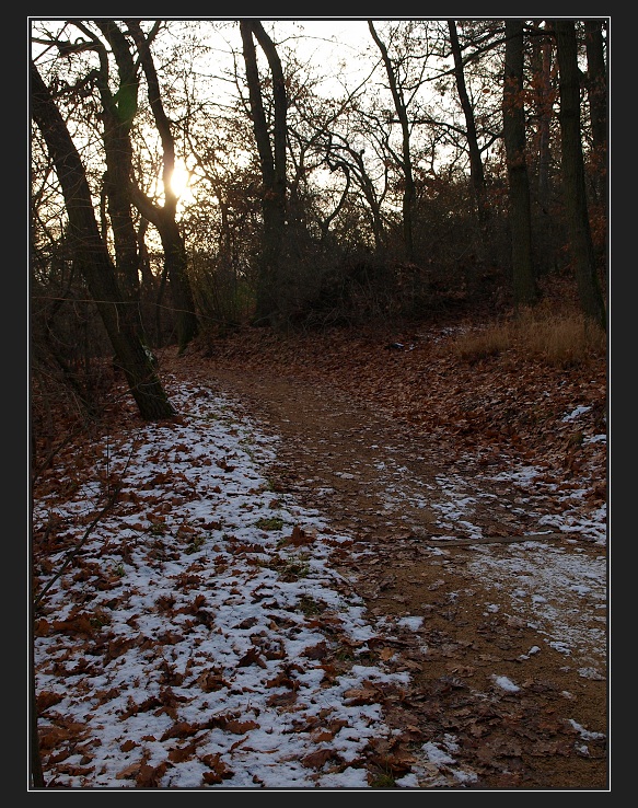 Kamenný vrch