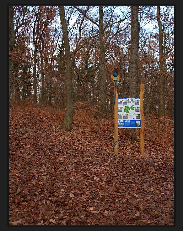 Kamenný vrch