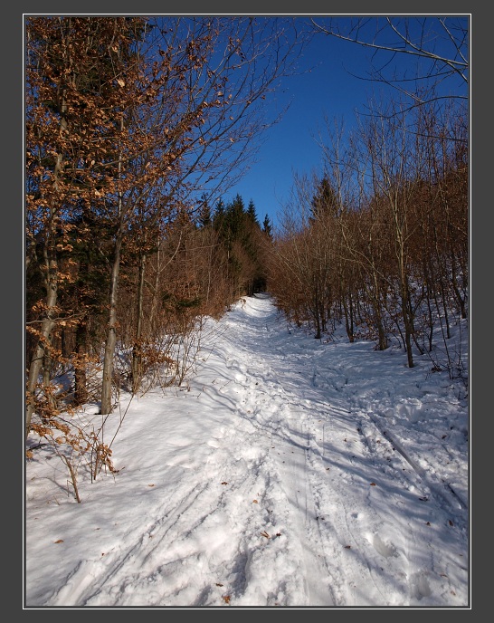 Bílé Karpaty, úbočím vrcholu Čupec
