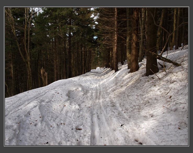 Bílé Karpaty, Veľká Javorina