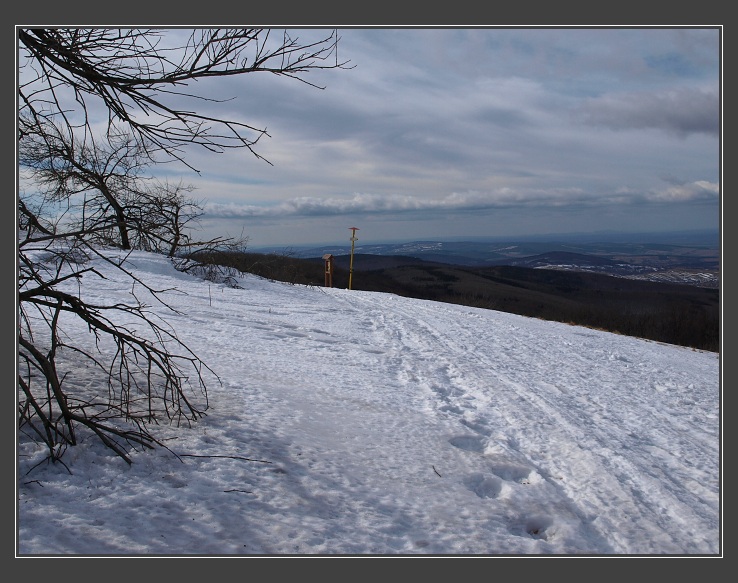 Bílé Karpaty, Veľká Javorina