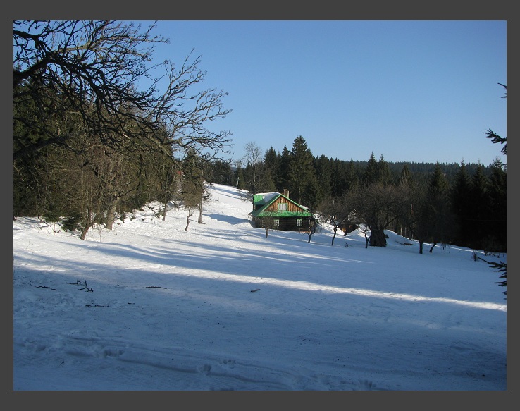Ježanky