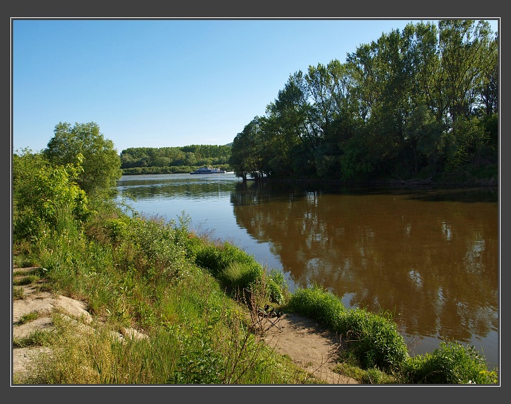 soutok Moravy a Dunaje - Morava