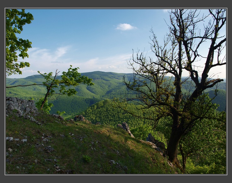 Malé Karpaty, výstup na Vysokou