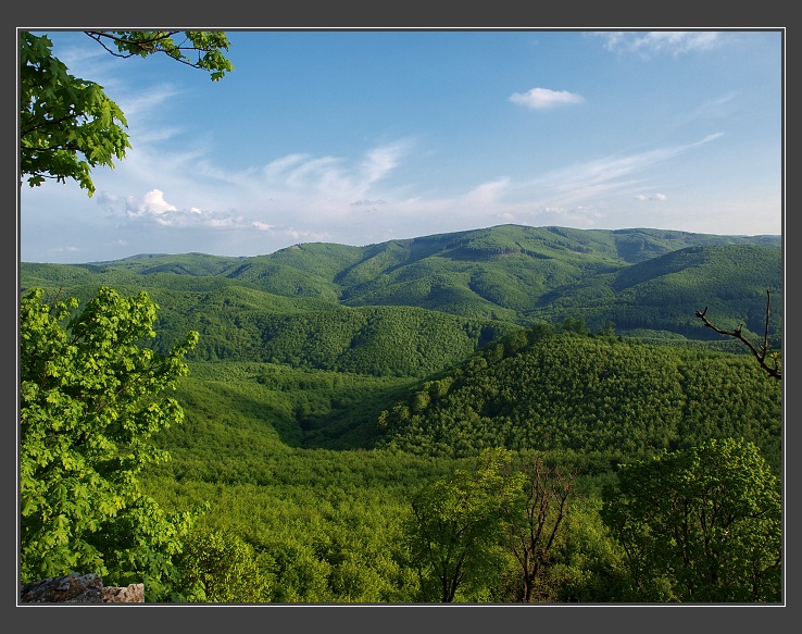 Malé Karpaty, Vysoká