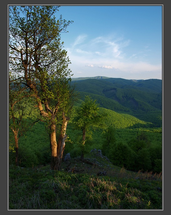 Malé Karpaty, Vysoká