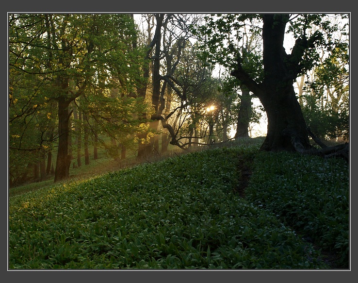 Malé Karpaty, Vysoká