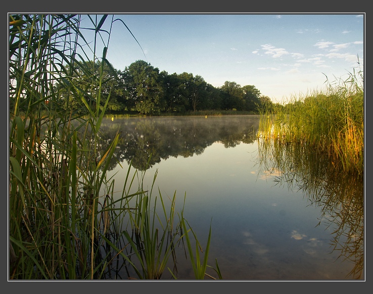 Elberadweg/Labská cyklostezka - Dessau