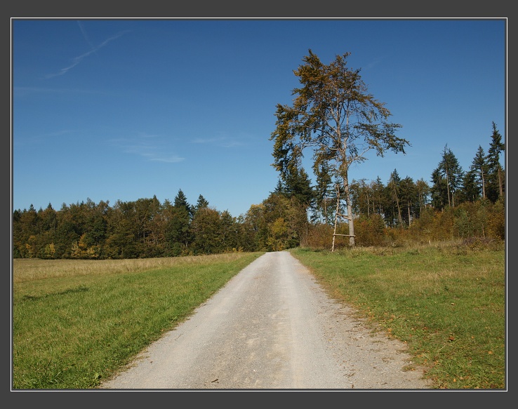 poblíž Babic nad Svitavou