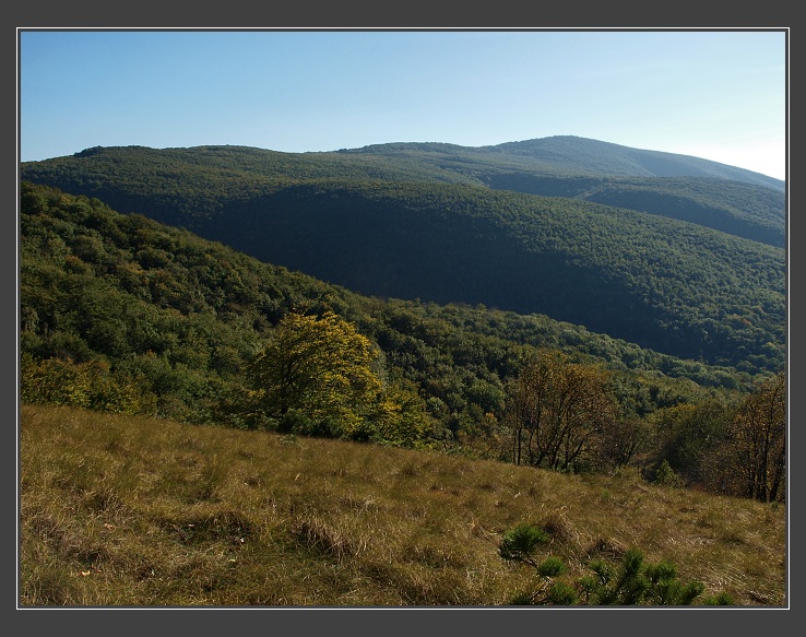 Báborská