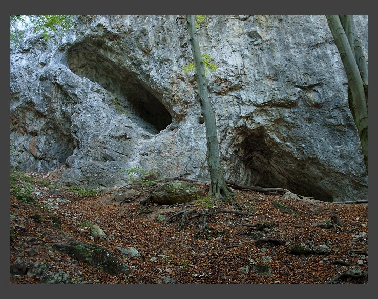 Plavecký kras