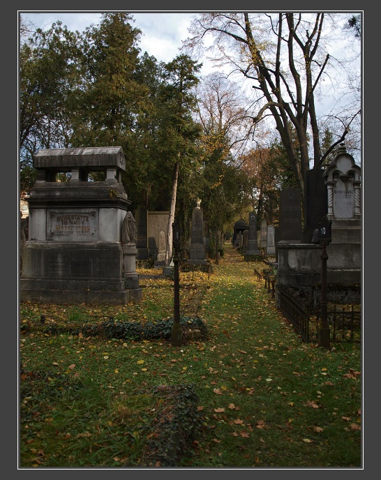 Brno, židovský hřbitov
